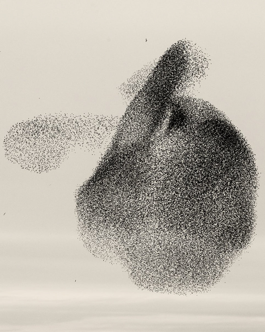 Black Sun — A Conversation with Søren Solkær