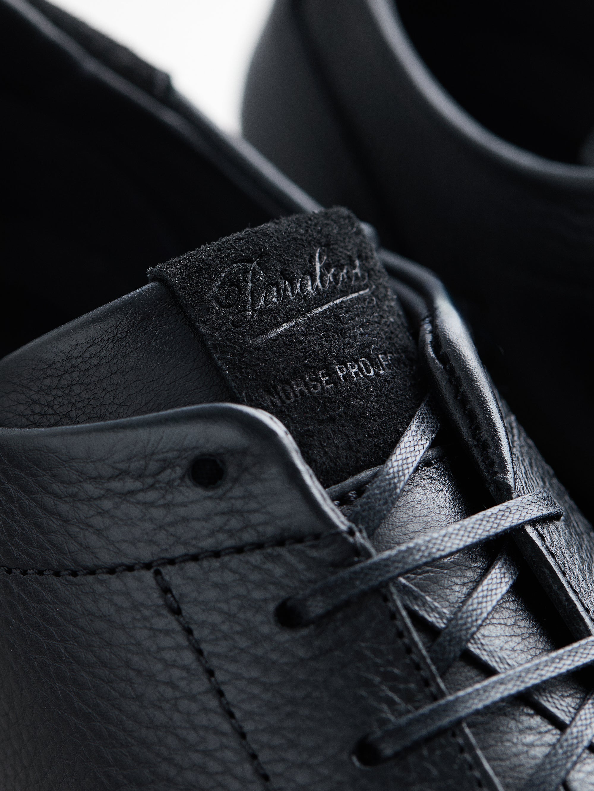Paraboot for Norse Projects — The Ravn