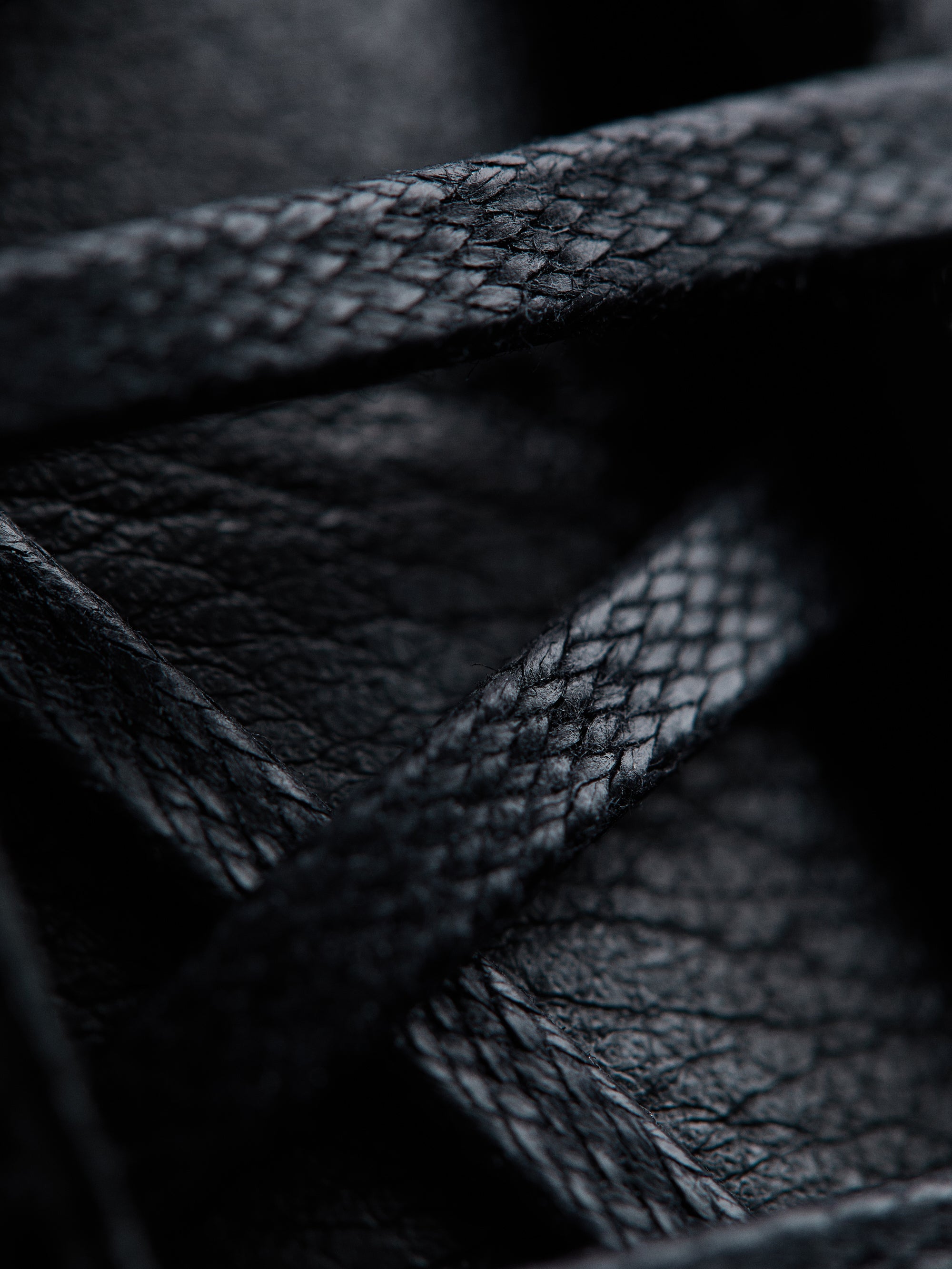 Paraboot for Norse Projects — The Ravn